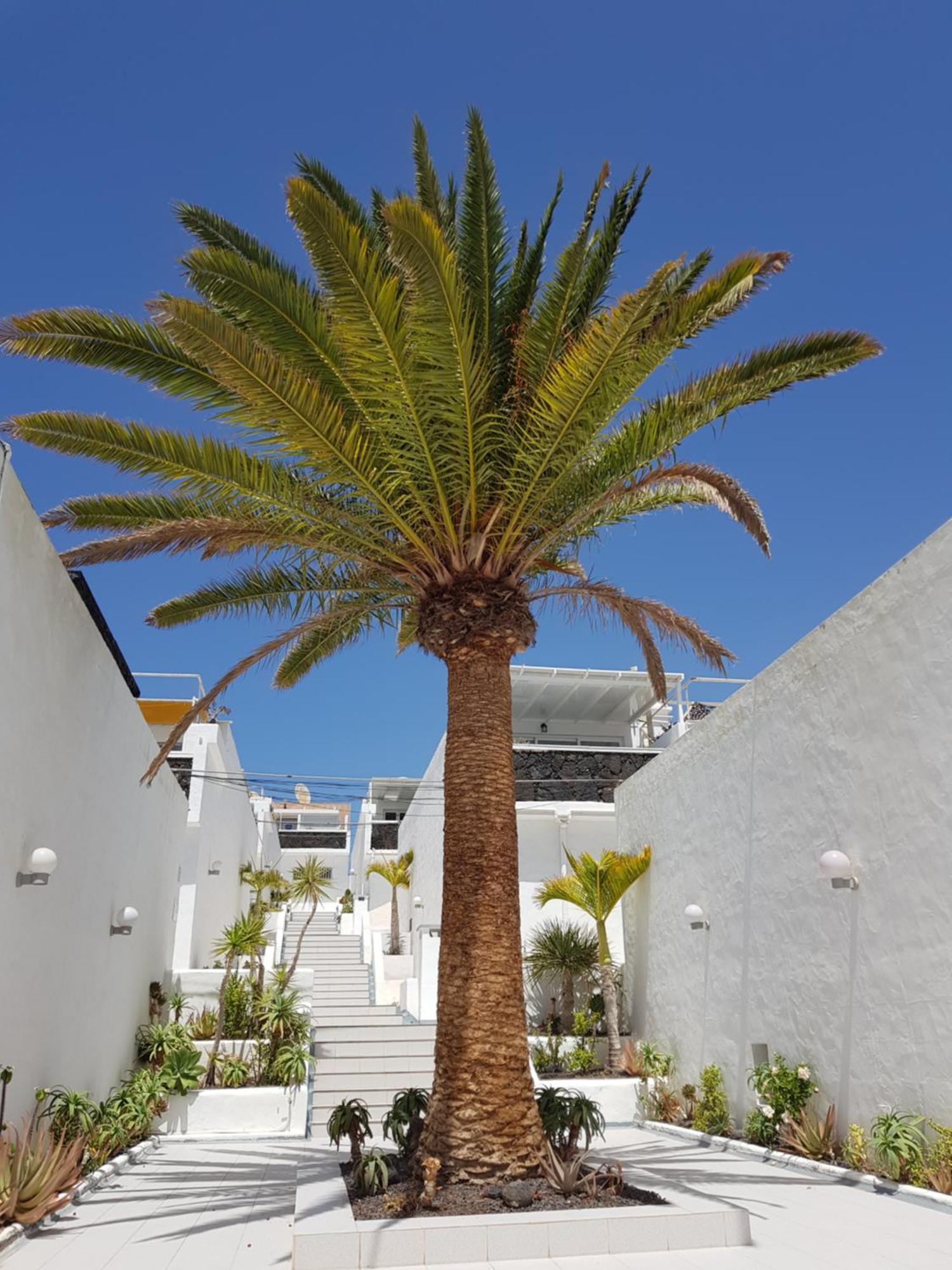 Stunning 2 Bedroom Duplex Close To Main Beach With Seaviews Puerto del Carmen  Bagian luar foto